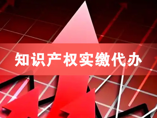 昆明知识产权实缴资本代办